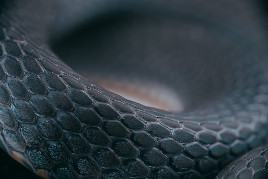 Ken Jin idézete: a Python JIT teljesítménye