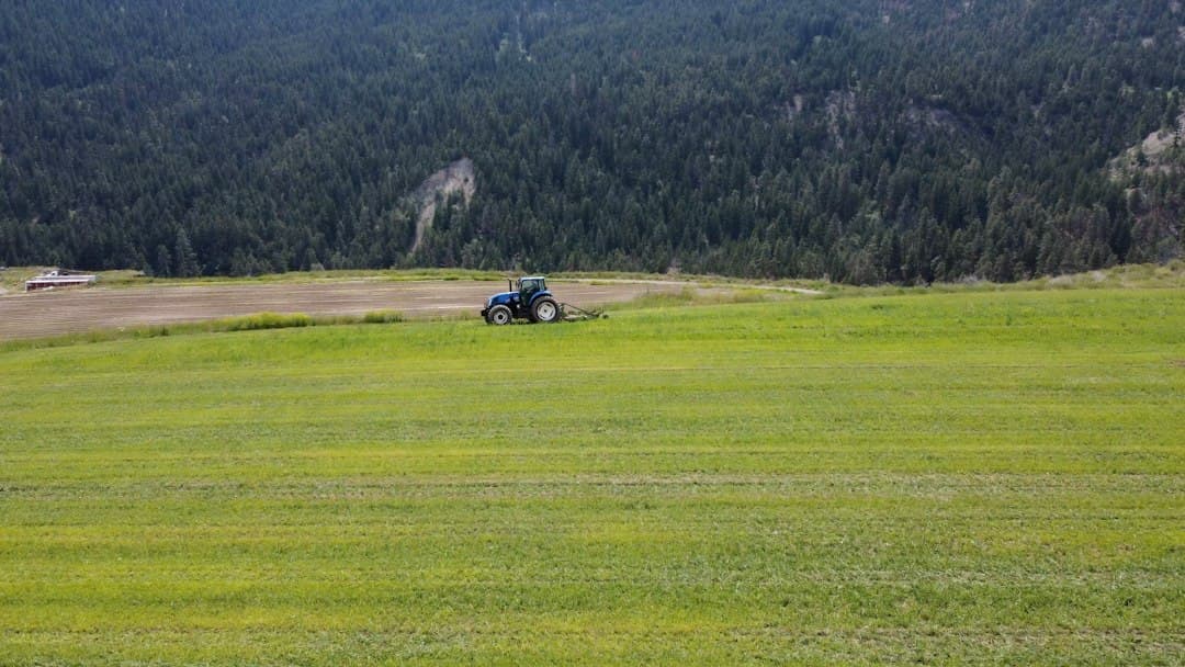 A CNH Industrial AI-alapú robotokkal segíti a gazdákat