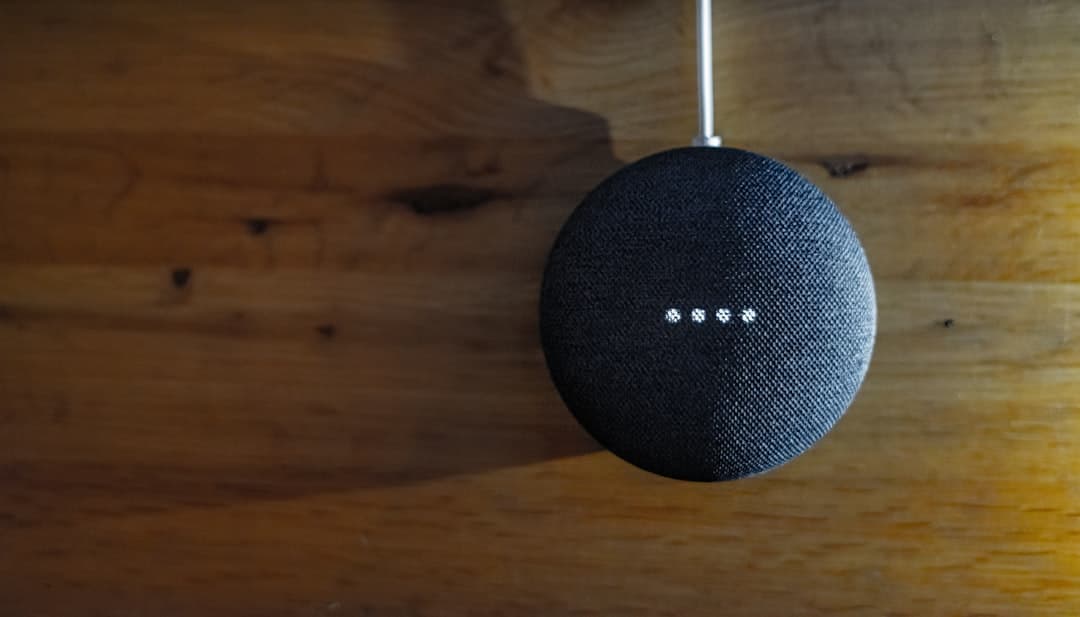 A Google Pet Memory funkciója nem tudja megkülönböztetni a macskákat