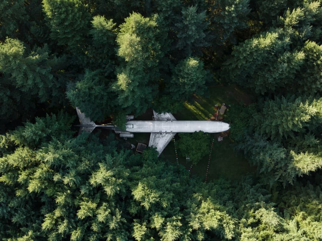 AI-jal élesztettek fel halott pilóták hangját — a NTSB lezárta adatbázisát