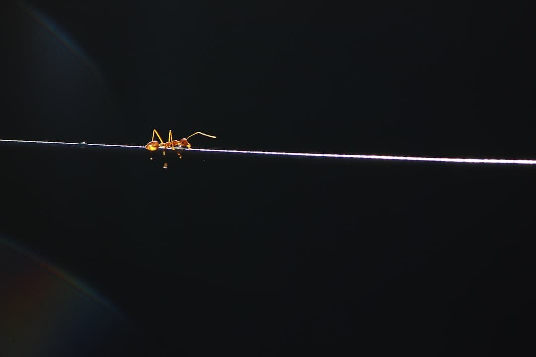 Anthropic J-Lens-el tárja fel Claude belső gondolatait — a J-Space megváltoztatja a válaszokat