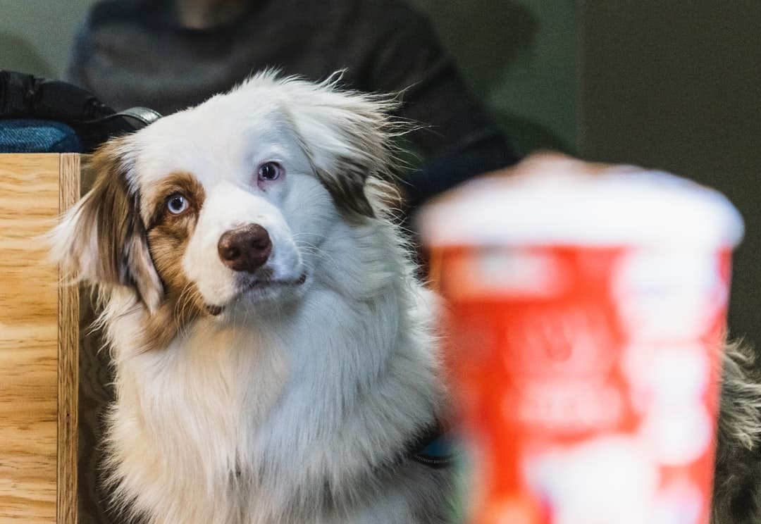 Az Artisan AI engedély nélkül használta a „This is fine” mémet a reklámjában