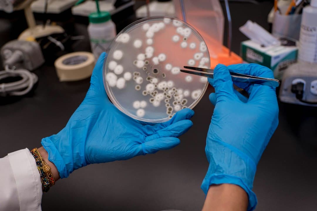 Basecamp Research 140 millió dollárt gyűjtött evolúciós adatokkal új antibiotikumokhoz