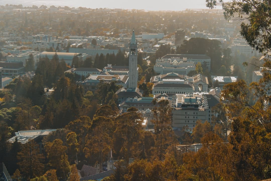 Logikai keretet adnak az AI-ügynököknek az ontológiák, az UC Berkeley professzora szerint