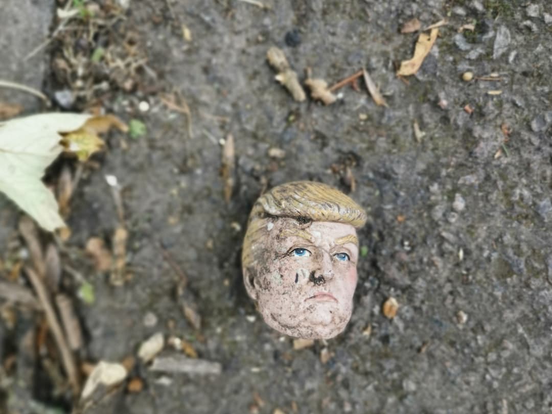 Trump kiállt a Palantir mellett Michael Burry kritikája után