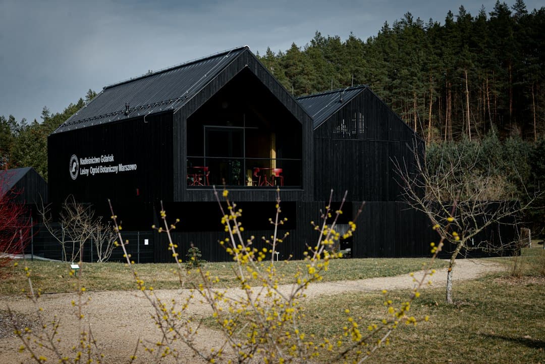 Új robotikai AI-modellt dob piacra a Black Forest Labs